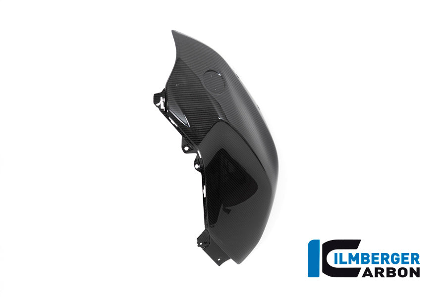 Ilmberger Carbon Tank Panel, Left for the BMW R 1250 R 2019