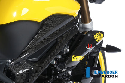 Ilmberger Carbon Tank Side Panel Right, for the Triumph Speed Triple '11-25