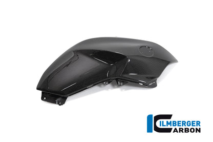 Ilmberger Carbon Tank Panel, Right for the BMW R 1250 R 2019