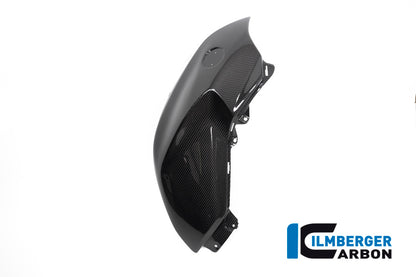Ilmberger Carbon Tank Panel, Right for the BMW R 1250 R 2019