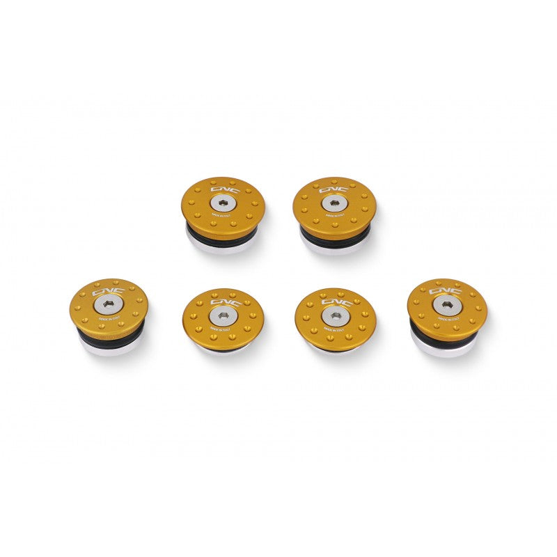 CNC Racing Frame Plug Kit for Ducati Hypermotard 950
