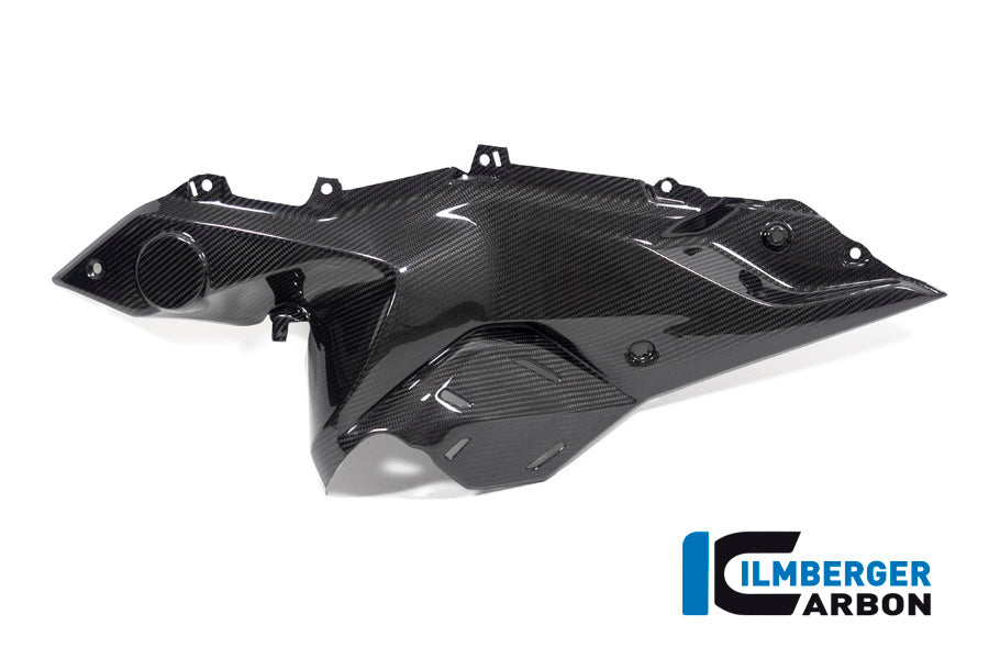Ilmberger Carbon Side panel under the tank, Left side for the BMW R 1250 RS 2019