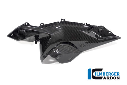 Ilmberger Carbon Side panel under the tank, Left side for the BMW R 1250 RS 2019
