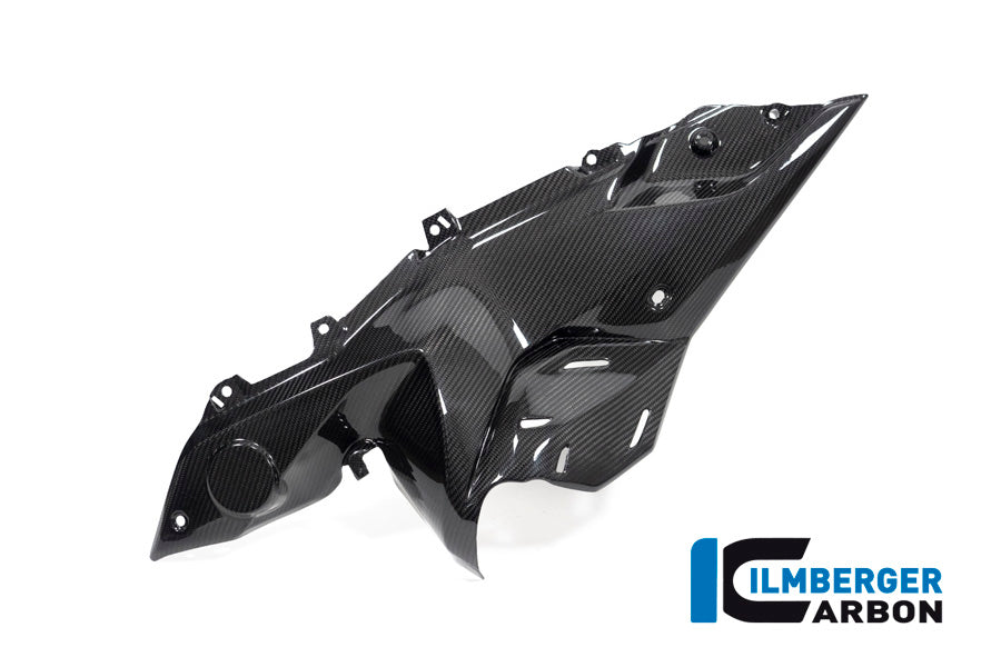 Ilmberger Carbon Side panel under the tank, Left side for the BMW R 1250 RS 2019