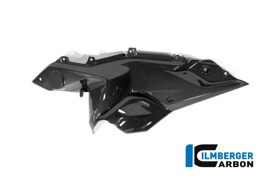 Ilmberger Carbon Side panel under the tank, Left side for the BMW R 1250 RS 2019