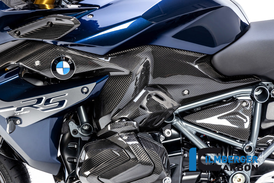 Ilmberger Carbon Side panel under the tank, Left side for the BMW R 1250 RS 2019