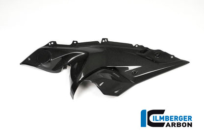 Ilmberger Carbon Side Panel under the Tank, Left Side for the BMW R 1200 RS 2015