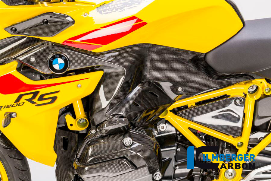Ilmberger Carbon Side Panel under the Tank, Left Side for the BMW R 1200 RS 2015