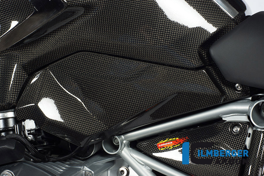 Ilmberger Carbon Lower Tank Cover, Left Carbon for the BMW R 1200 GS 2013-16