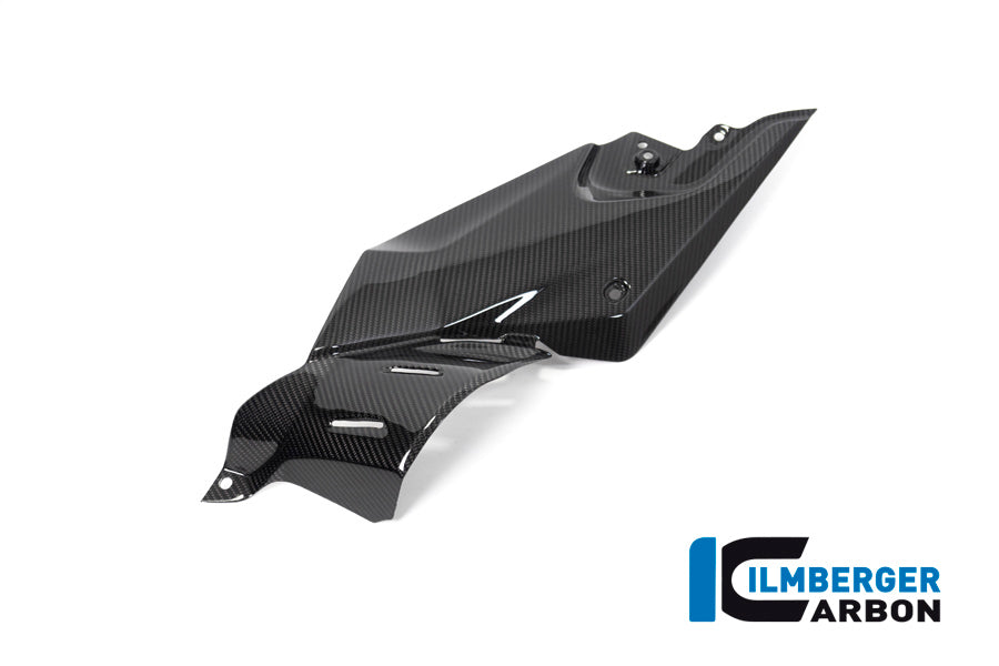Ilmberger Carbon Side Panel Under the Tank, Left for the BMW R 1250 R 2019