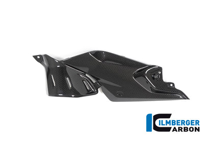 Ilmberger Carbon Side Panel Under the Tank, Left for the BMW R 1250 R 2019