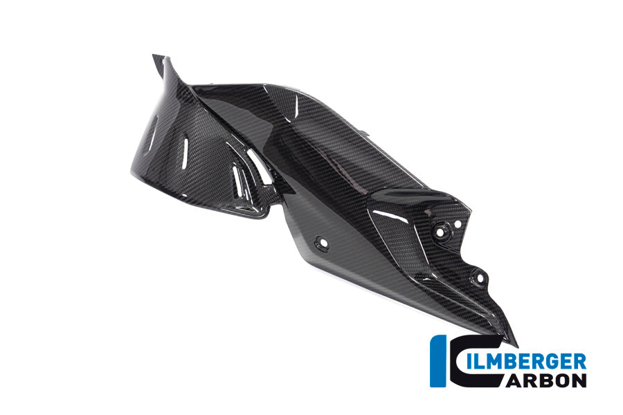 Ilmberger Carbon Side Panel Under the Tank, Left for the BMW R 1250 R 2019