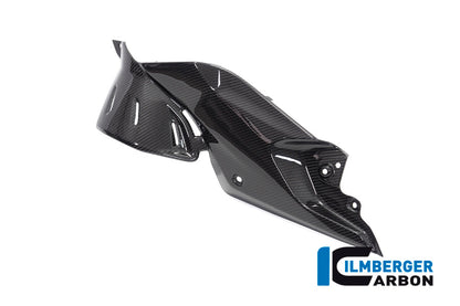 Ilmberger Carbon Side Panel Under the Tank, Left for the BMW R 1250 R 2019