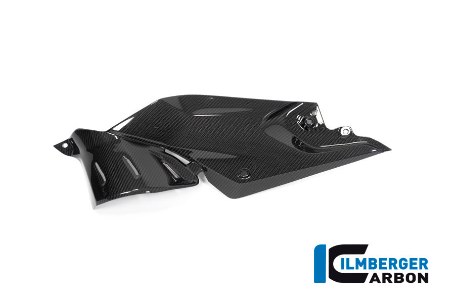 Ilmberger Carbon Side Panel Under the Tank, Left for the BMW R 1250 R 2019