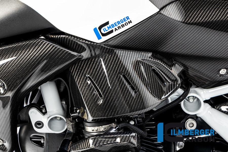 Ilmberger Carbon Side Panel Under the Tank, Left for the BMW R 1250 R 2019
