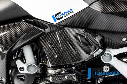 Ilmberger Carbon Side Panel Under the Tank, Left for the BMW R 1250 R 2019