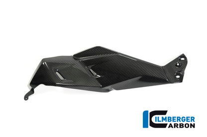 Ilmberger Carbon Airvent Cover Left Side for the BMW R 1250 GS 2019