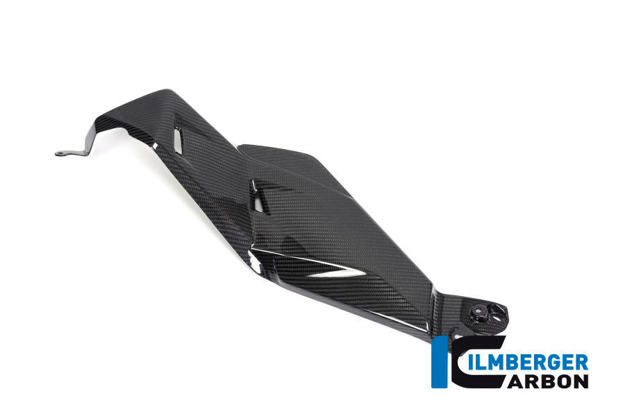 Ilmberger Carbon Airvent Cover Left Side for the BMW R 1250 GS 2019