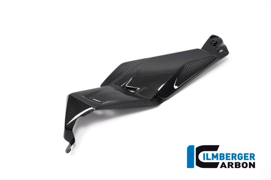 Ilmberger Carbon Airvent Cover Left Side for the BMW R 1250 GS 2019