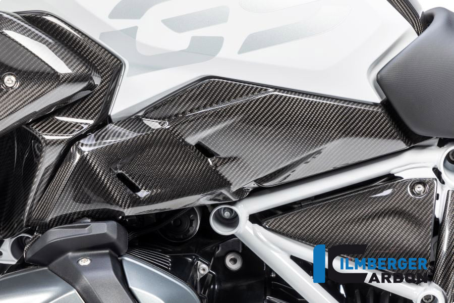 Ilmberger Carbon Airvent Cover Left Side for the BMW R 1250 GS 2019