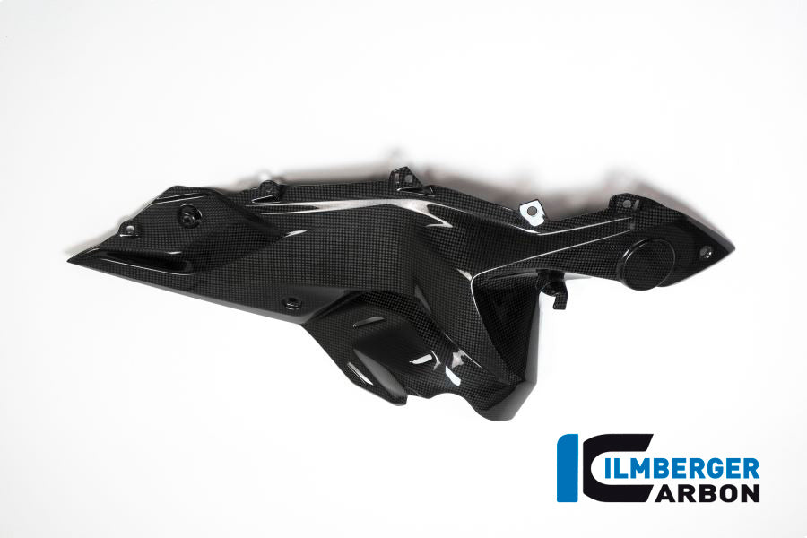 Ilmberger Carbon Side Panel under the Tank, Right Side for the BMW R 1200 RS 2015