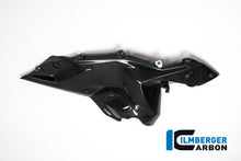 Ilmberger Carbon Side Panel under the Tank, Right Side for the BMW R 1200 RS 2015
