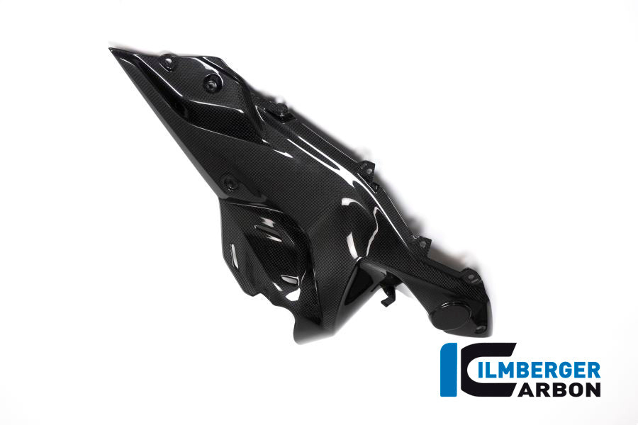 Ilmberger Carbon Side Panel under the Tank, Right Side for the BMW R 1200 RS 2015