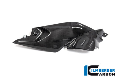 Ilmberger Carbon Side Panel Under the Tank, Right for the BMW R 1250 R 2019