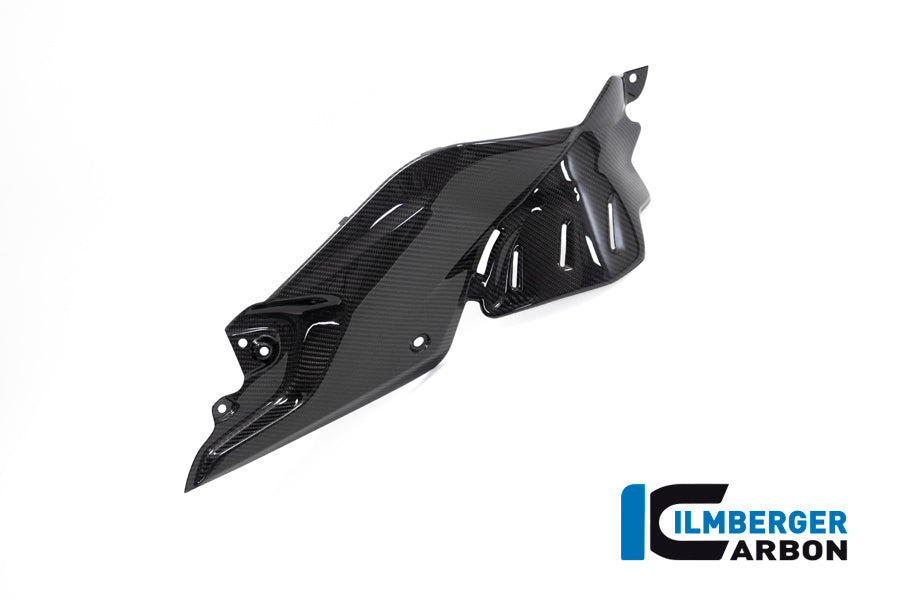 Ilmberger Carbon Side Panel Under the Tank, Right for the BMW R 1250 R 2019