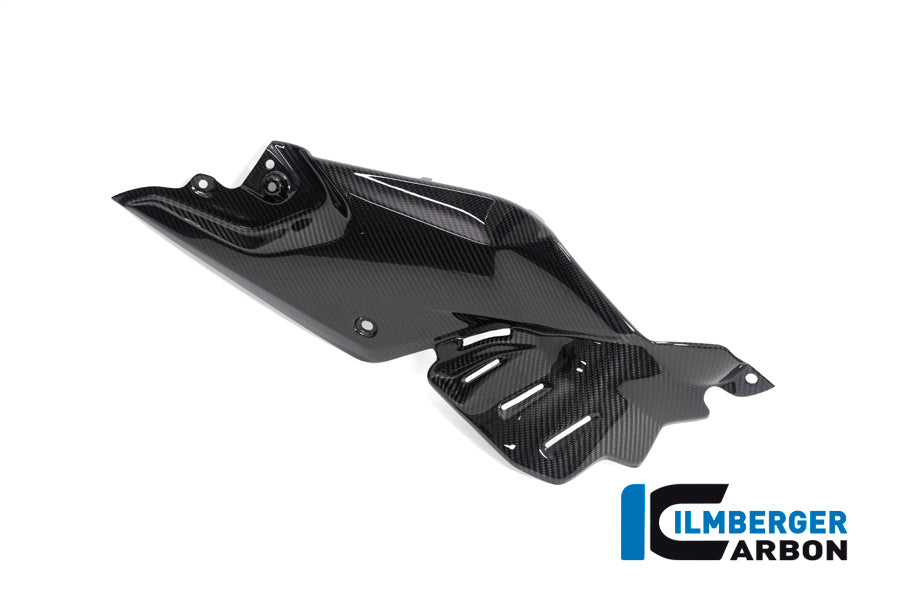 Ilmberger Carbon Side Panel Under the Tank, Right for the BMW R 1250 R 2019