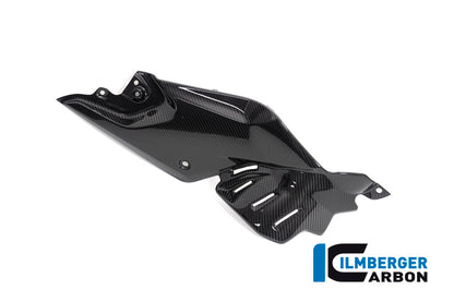 Ilmberger Carbon Side Panel Under the Tank, Right for the BMW R 1250 R 2019