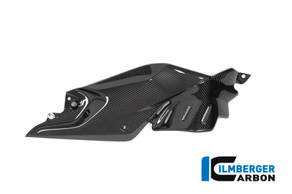 Ilmberger Carbon Side Panel Under the Tank, Right for the BMW R 1250 R 2019