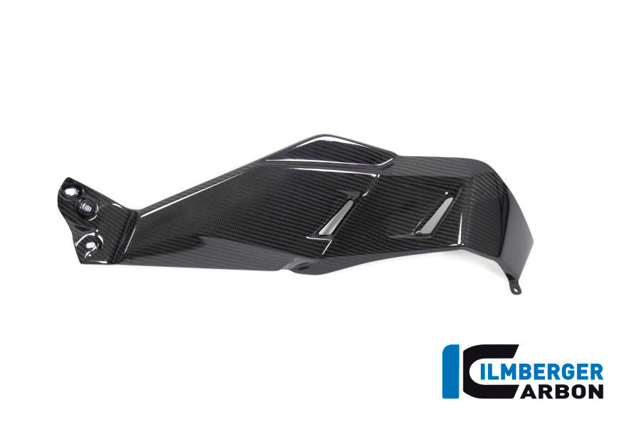 Ilmberger Carbon Airvent Cover Right Side for the BMW R 1250 GS 2019
