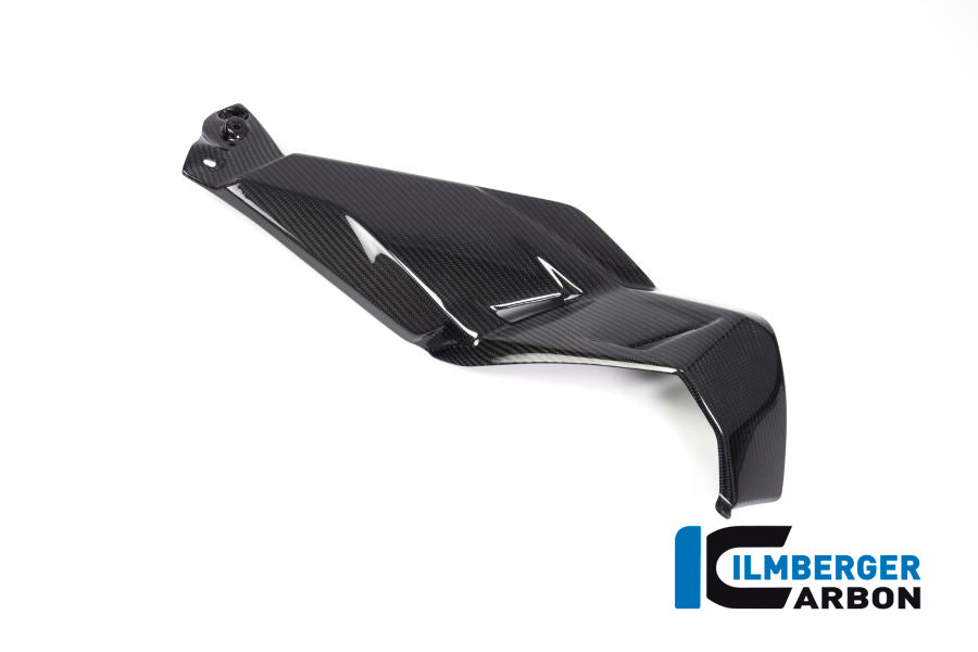 Ilmberger Carbon Airvent Cover Right Side for the BMW R 1250 GS 2019
