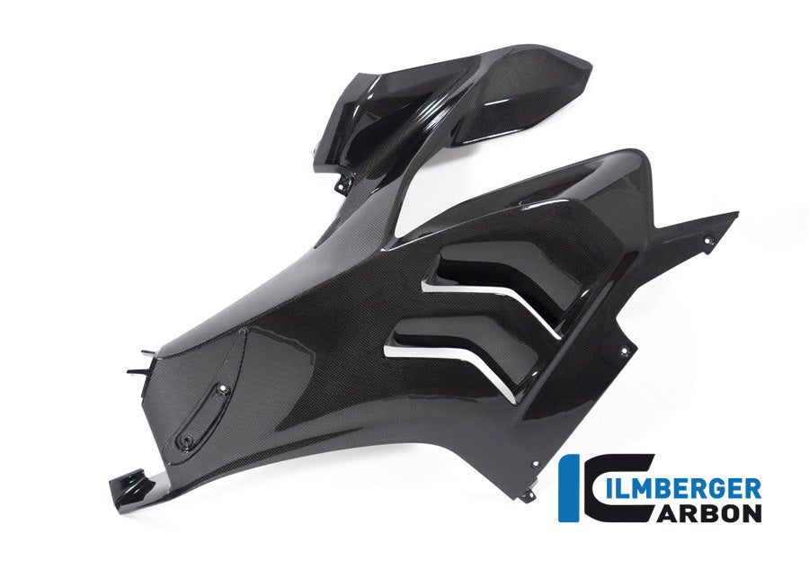 Ilmberger Carbon Fairing Side Panel, Left for the Ducati Panigale V4 R '19-22, V4,V4 S '20