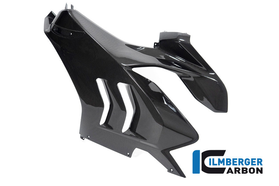 Ilmberger Carbon Fairing Side Panel, Left for the Ducati Panigale V4 R '19-22, V4,V4 S '20