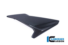 Ilmberger Carbon Fairing Side Panel, Left for the BMW S 1000 R 2017