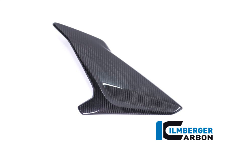 Ilmberger Carbon Fairing Side Panel, Left for the BMW S 1000 R 2017