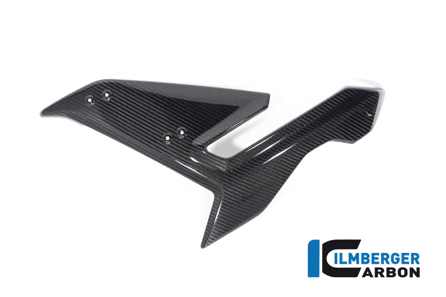 Ilmberger Carbon Side Fairing, Left Side for the BMW S 1000 R 2021
