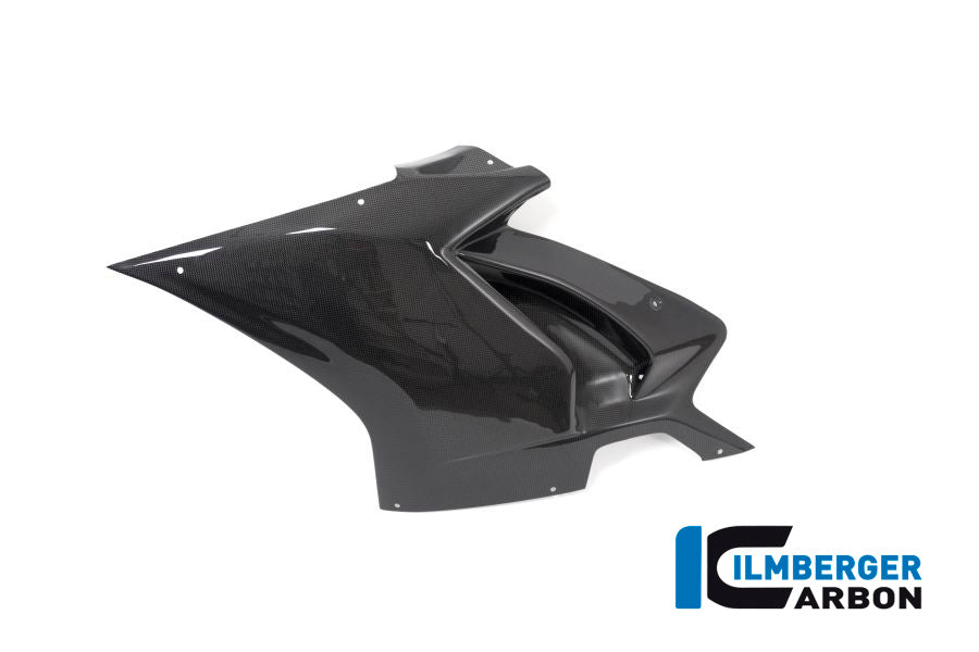 Ilmberger Carbon Fairing Side Panel, Left for the Ducati Panigale V4 Racing '18-19