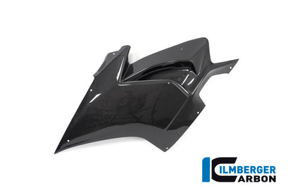 Ilmberger Carbon Fairing Side Panel, Left for the Ducati Panigale V4 Racing '18-19