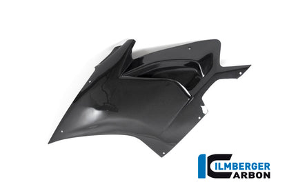 Ilmberger Carbon Fairing Side Panel, Left for the Ducati Panigale V4 Racing '18-19