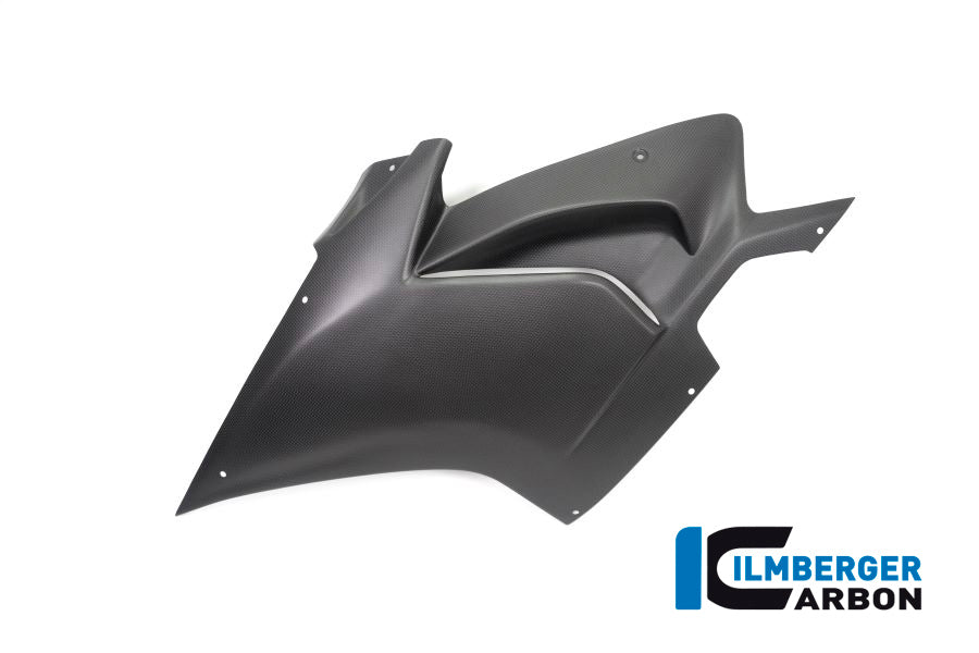 Ilmberger Carbon Fairing Side Panel, Left for the Ducati Panigale V4 Racing '18-19