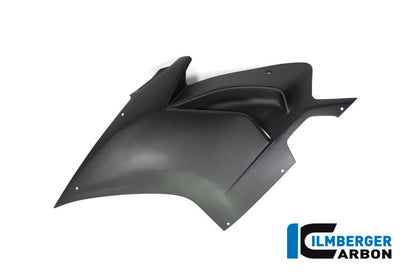 Ilmberger Carbon Fairing Side Panel, Left for the Ducati Panigale V4 Racing '18-19