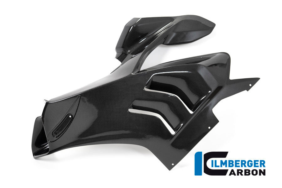 Ilmberger Carbon Fairing Side Panel, Left for the Ducati Panigale V4 / V4 S '20-22 / V4 R Racing '19-21