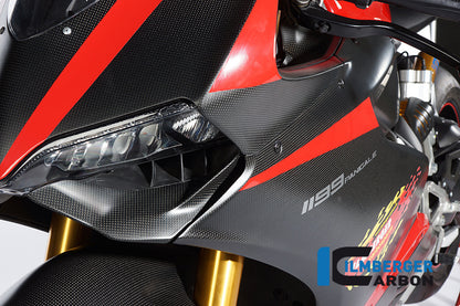 Ilmberger Carbon Front Fairing Matt for the Ducati 1199 Panigale '12-14 / 899 Panigale '13-14
