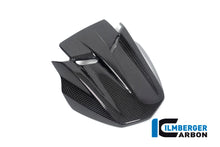 Ilmberger Carbon InstrumentCover for the Ducati Diavel 1260 2019