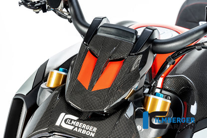 Ilmberger Carbon InstrumentCover for the Ducati Diavel 1260 2019