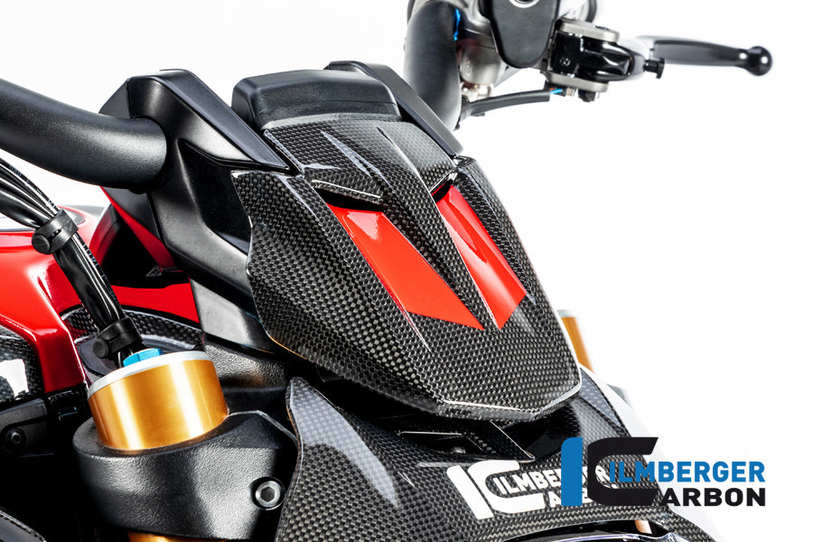 Ilmberger Carbon InstrumentCover for the Ducati Diavel 1260 2019