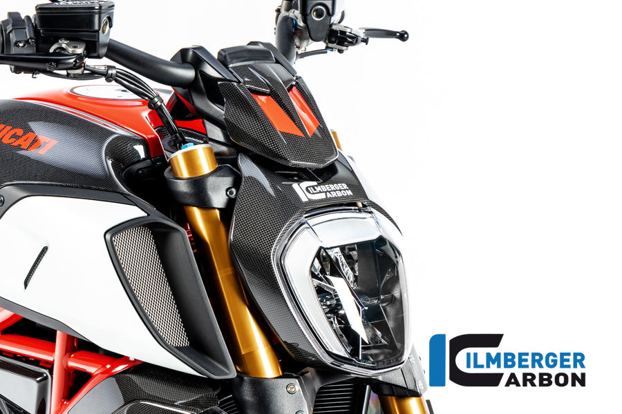 Ilmberger Carbon InstrumentCover for the Ducati Diavel 1260 2019